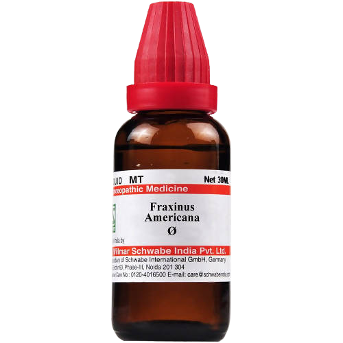 https://cdn.shopify.com/s/files/1/1857/6931/products/6ZnBdErfkr-removebg-preview.png?v=1665123810