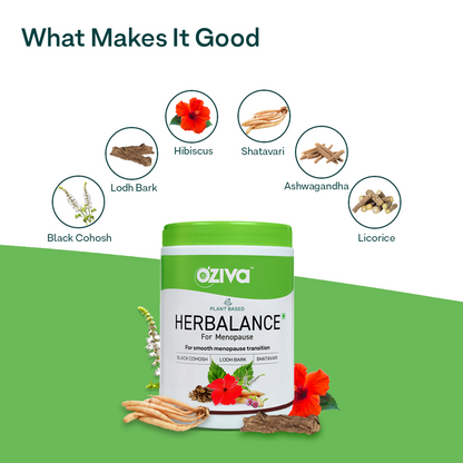 https://cdn.shopify.com/s/files/1/1857/6931/products/6_19_4000x.progressive_d013cedc-07ef-4fde-828d-370cdc08e75b.png?v=1622547451