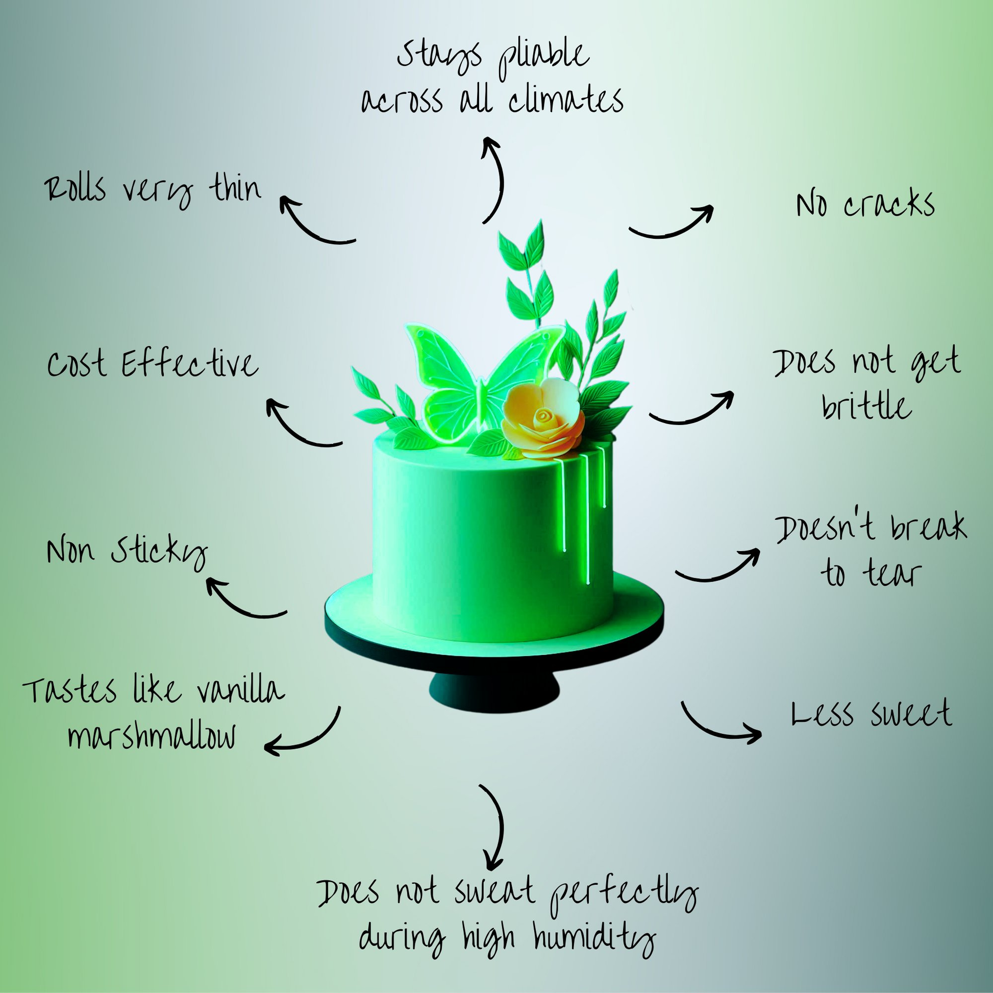 https://cdn.shopify.com/s/files/1/1857/6931/files/6_29398809-d5d6-43f4-9cf6-e87cba9df12c.png?v=1769704869