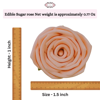 https://cdn.shopify.com/s/files/1/1857/6931/files/6_4f651d9c-dd08-4f61-8290-faed5f73c83b.png?v=1769701775