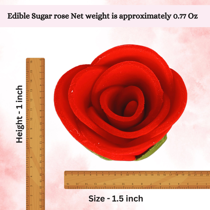 https://cdn.shopify.com/s/files/1/1857/6931/files/6_b3d76ad2-bbe5-438a-9dc9-b44d9b3b2ca3.png?v=1769699351