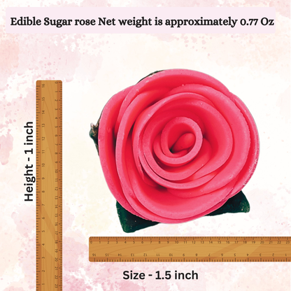 https://cdn.shopify.com/s/files/1/1857/6931/files/6_cd1fe6e7-e4d7-466b-a556-81f203c0d2b2.png?v=1769707738