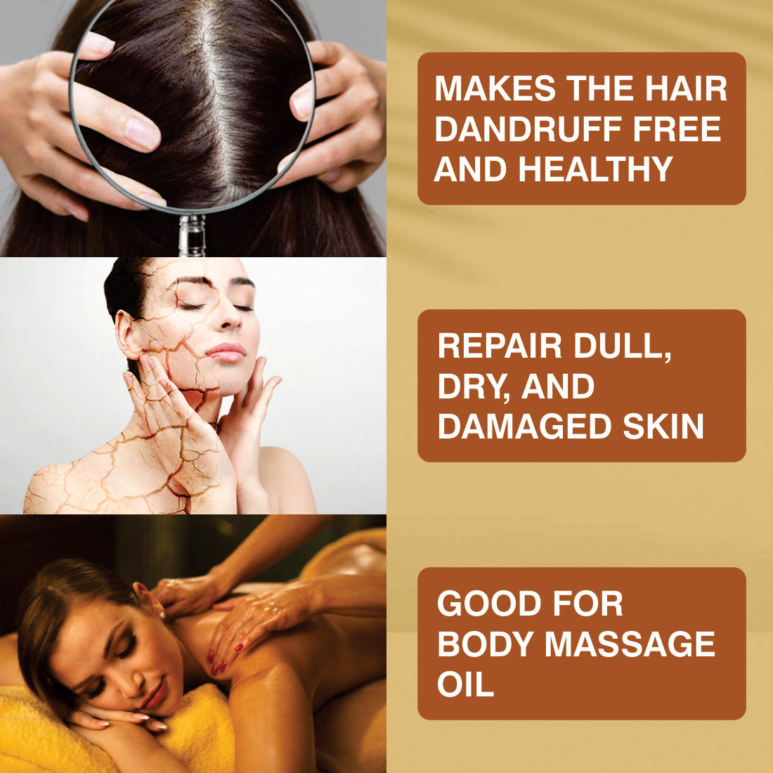 https://cdn.shopify.com/s/files/1/1857/6931/files/6_d292e015-6014-40a5-ad0c-bbbf634fa49f.jpg?v=1765546655