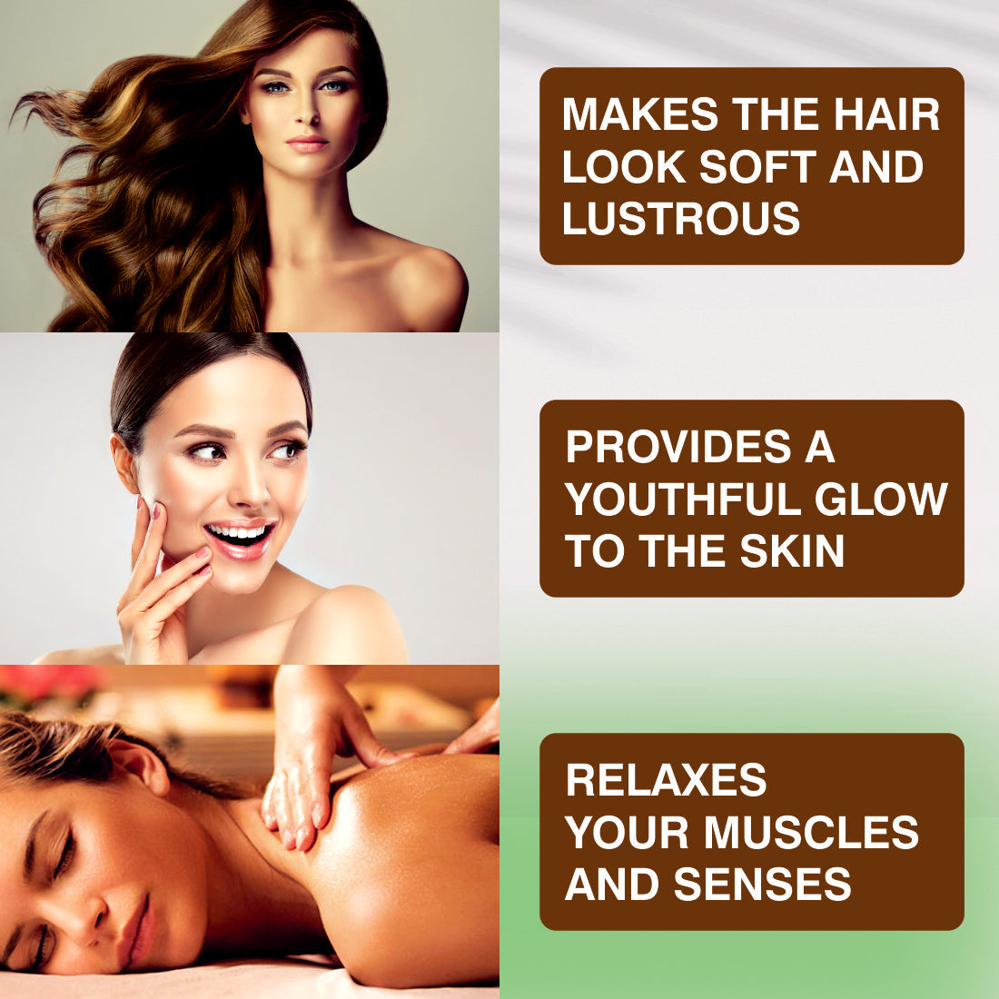 https://cdn.shopify.com/s/files/1/1857/6931/files/6_e1ba0079-7ce8-4b39-9929-4eb68595464c.jpg?v=1765546432