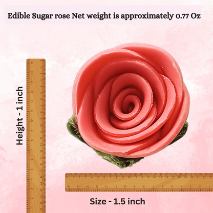 https://cdn.shopify.com/s/files/1/1857/6931/files/6_eaee8efc-bf84-4d5e-a639-2cb8a4969cc6.png?v=1769701643