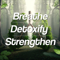 https://cdn.shopify.com/s/files/1/1857/6931/files/6_f83c10d0-5256-4944-9598-dfdcc0b353d5.jpg?v=1747306125