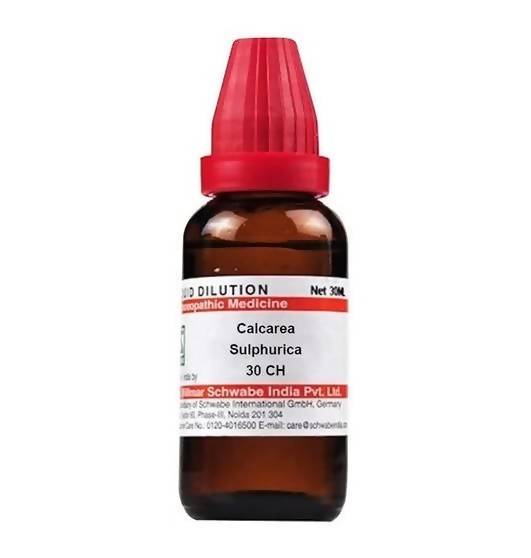 https://cdn.shopify.com/s/files/1/1857/6931/products/6aBDlHKnJn.jpg?v=1641302375
