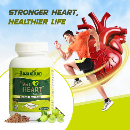 https://cdn.shopify.com/s/files/1/1857/6931/files/6aSvw4Ltmy.png?v=1760511850