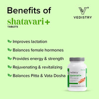 https://cdn.shopify.com/s/files/1/1857/6931/products/6bEx0ictrh.jpg?v=1683724872