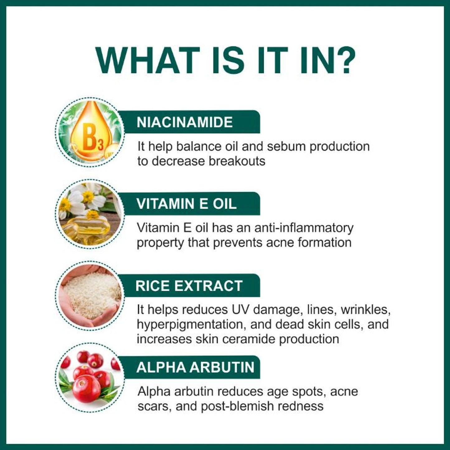 https://cdn.shopify.com/s/files/1/1857/6931/files/6bde8428906143103948_3.jpg?v=1770630251