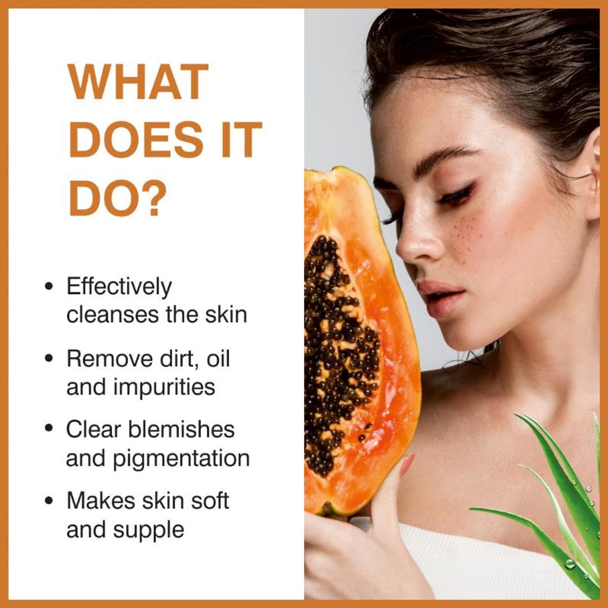 https://cdn.shopify.com/s/files/1/1857/6931/files/6bde8428906143104297_2.jpg?v=1770630185