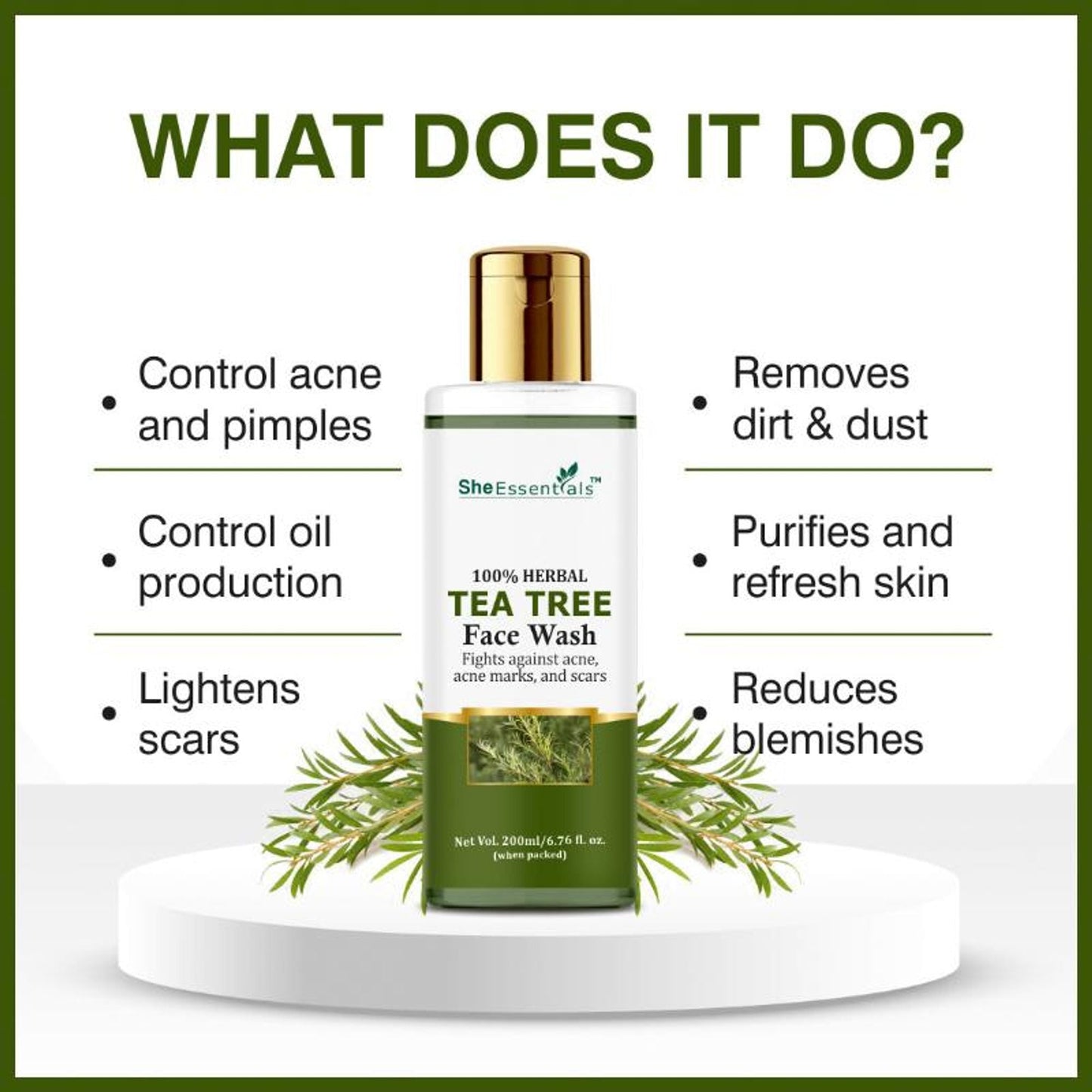 https://cdn.shopify.com/s/files/1/1857/6931/files/6bde8428906143104549_2.jpg?v=1770630182