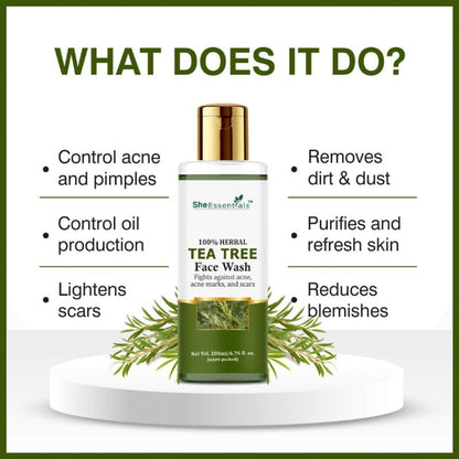 https://cdn.shopify.com/s/files/1/1857/6931/files/6bde8428906143104549_2.jpg?v=1770630182