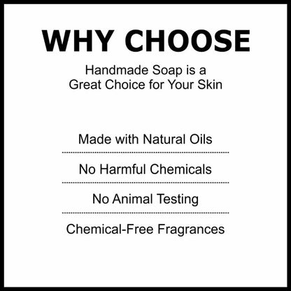 https://cdn.shopify.com/s/files/1/1857/6931/files/6bde8428906143105577_3.jpg?v=1770630122