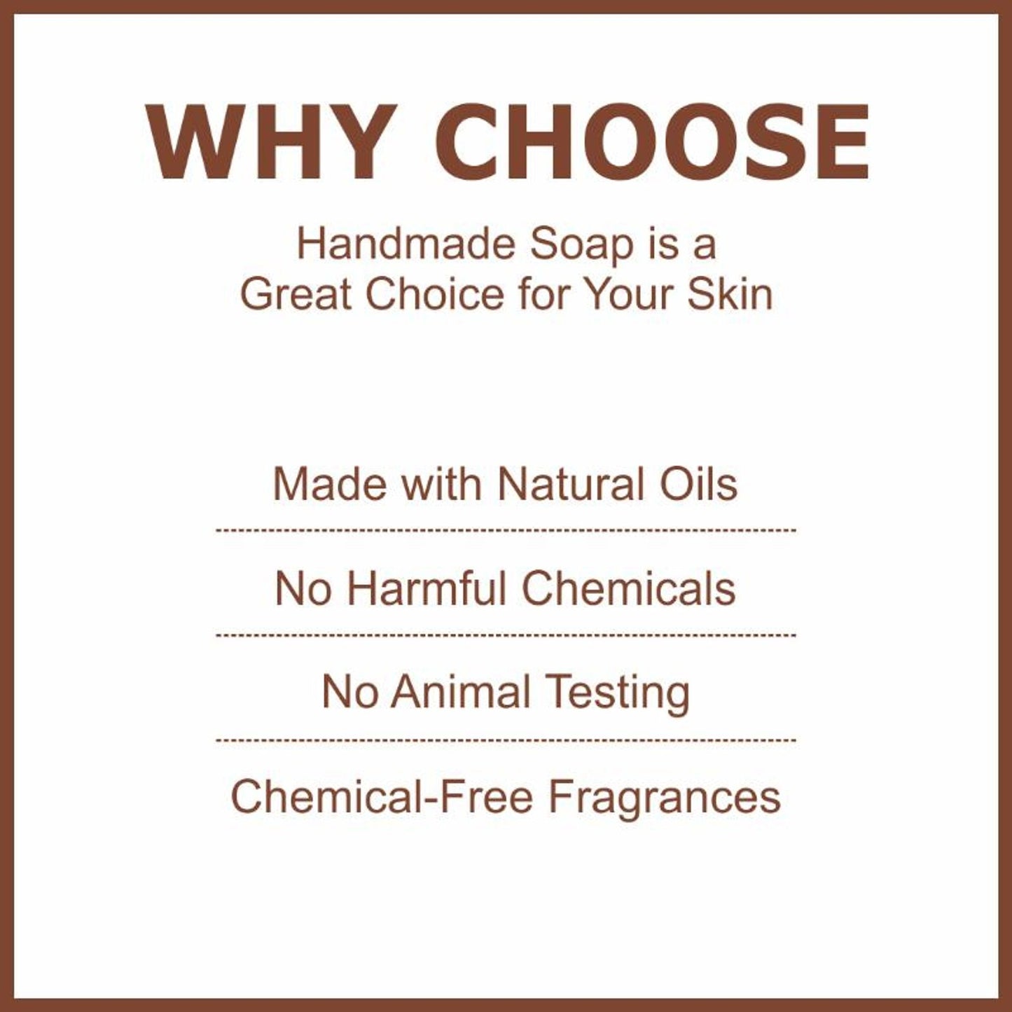 https://cdn.shopify.com/s/files/1/1857/6931/files/6bde8428906143109032_3.jpg?v=1770630118