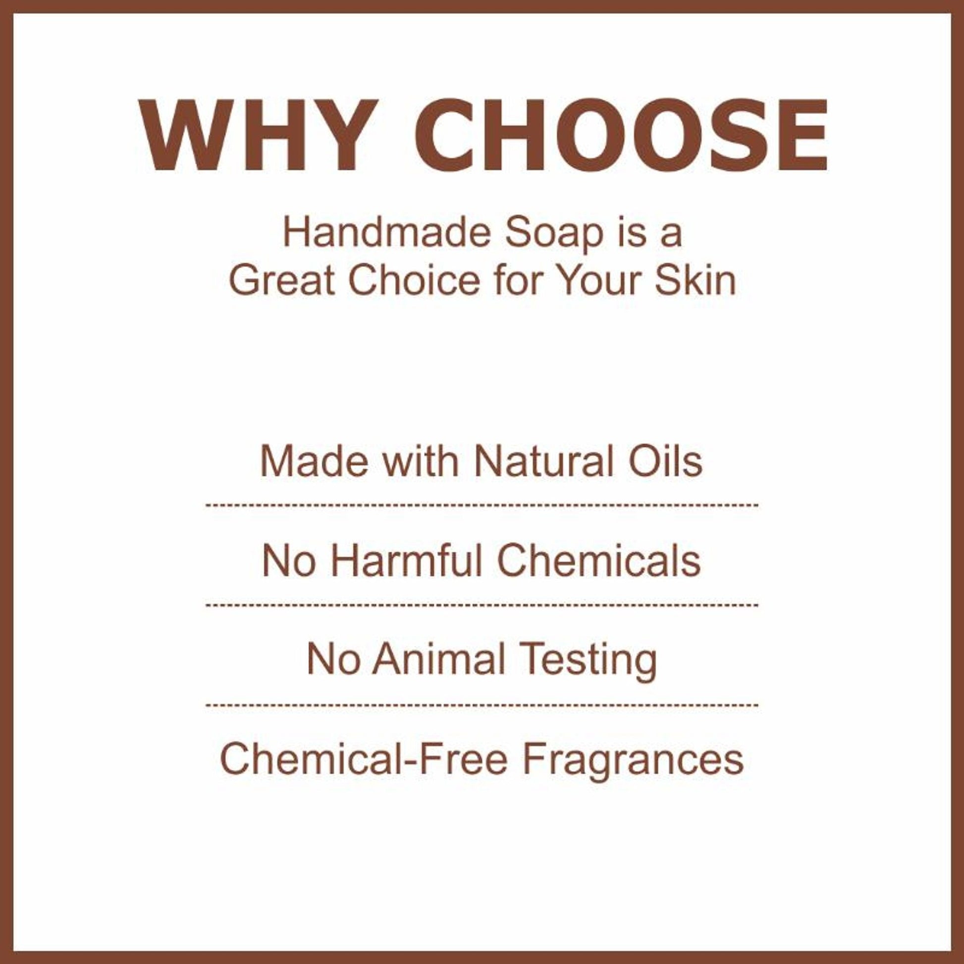 https://cdn.shopify.com/s/files/1/1857/6931/files/6bde8428906143109032_3.jpg?v=1770630118