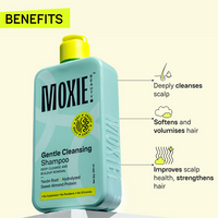 https://cdn.shopify.com/s/files/1/1857/6931/files/6bsRDICwy8.png?v=1727439905