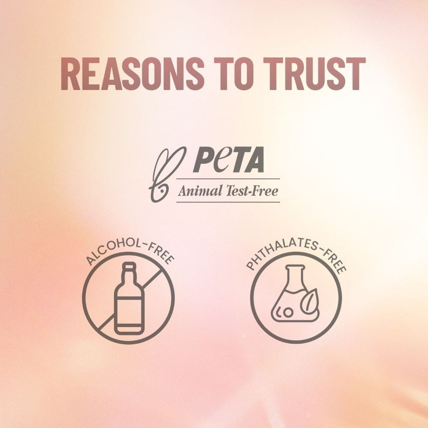 https://cdn.shopify.com/s/files/1/1857/6931/files/6c92db2SWIAC00001566_9N.jpg?v=1775457218