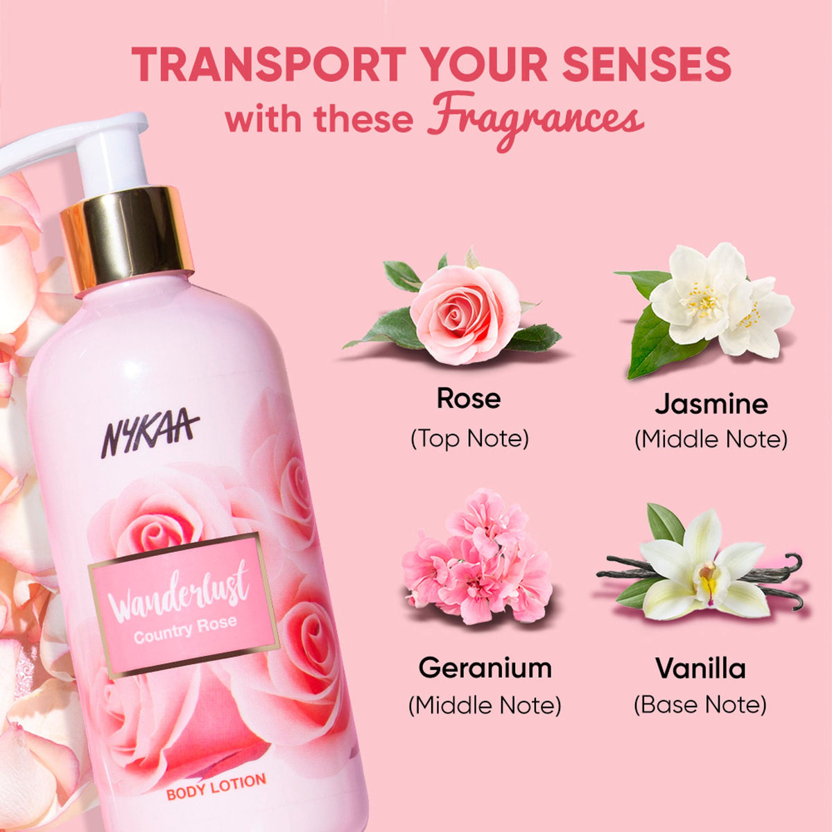 https://cdn.shopify.com/s/files/1/1857/6931/files/6d64f4b8904245708320_3.jpg?v=1768229938