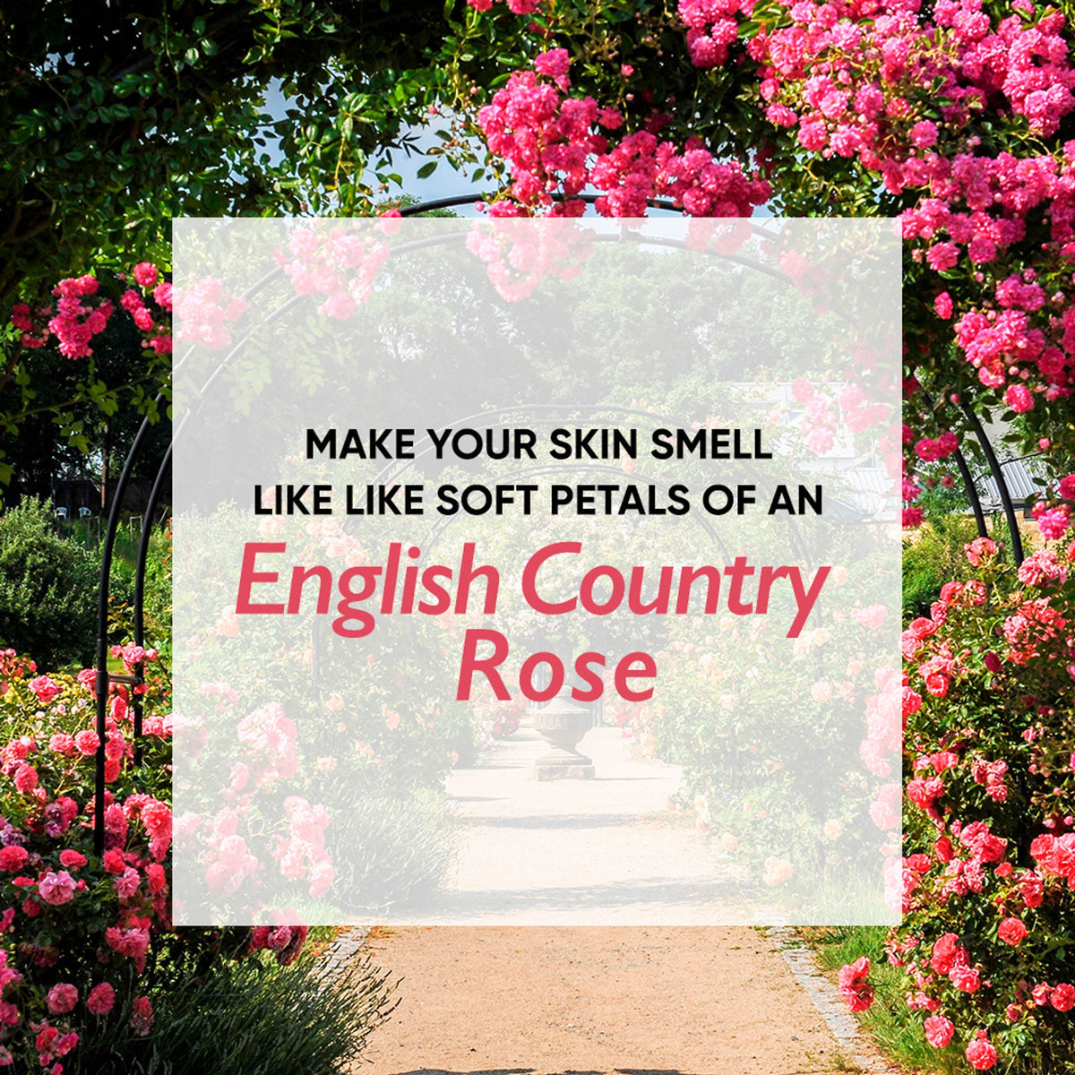 https://cdn.shopify.com/s/files/1/1857/6931/files/6d64f4b8904245708320_7.jpg?v=1768229938