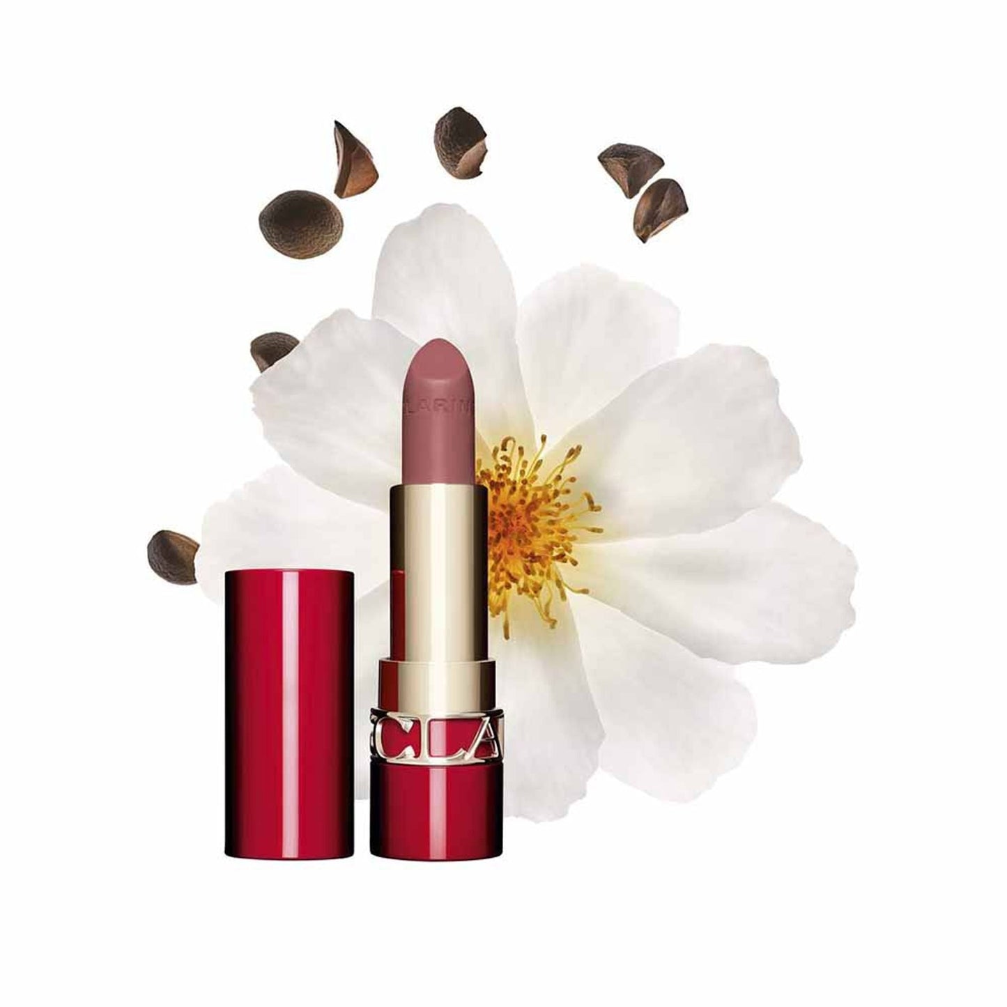 https://cdn.shopify.com/s/files/1/1857/6931/files/6d96dd93666057298868_1.jpg?v=1769845300