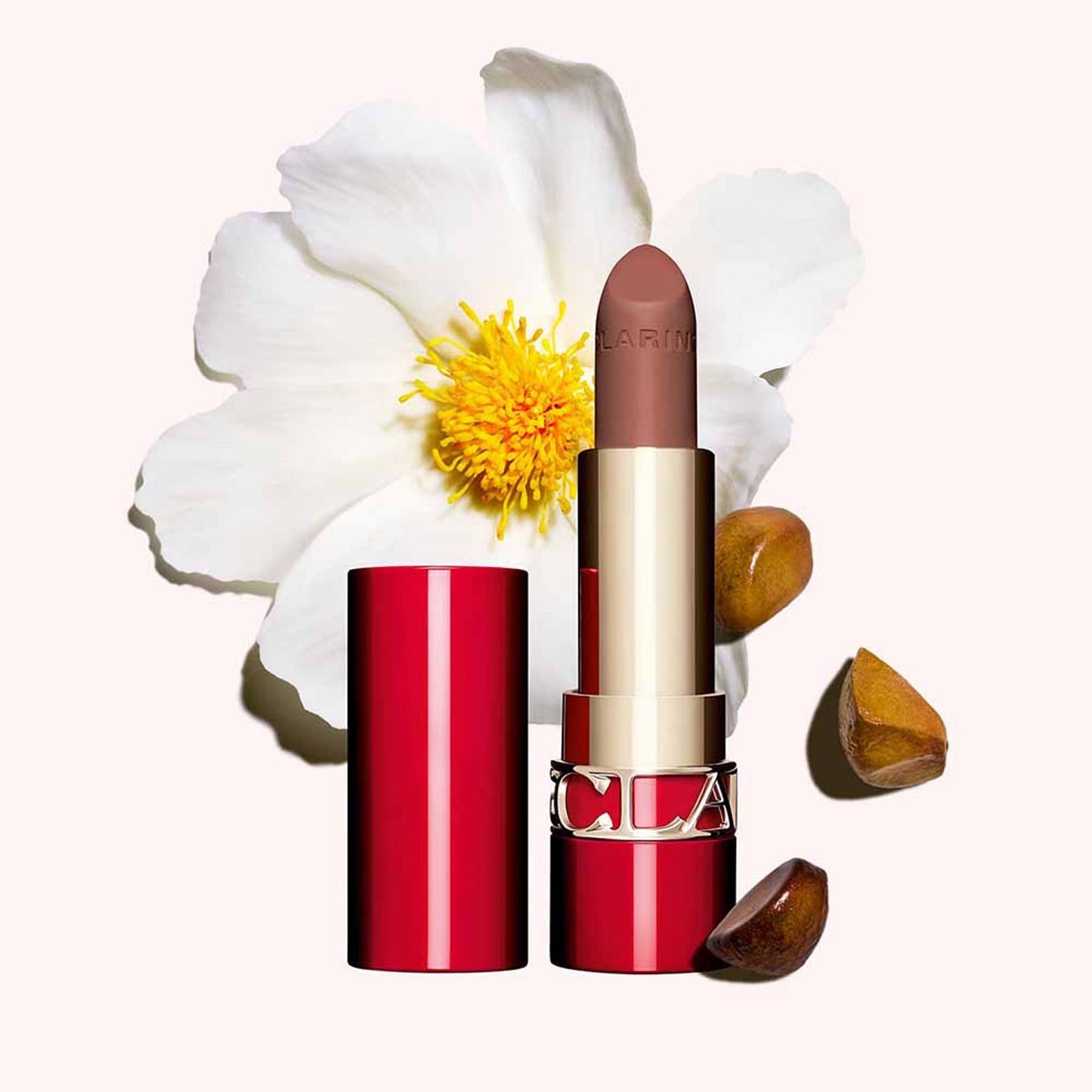 https://cdn.shopify.com/s/files/1/1857/6931/files/6d96dd93666057298899_2.jpg?v=1769845305