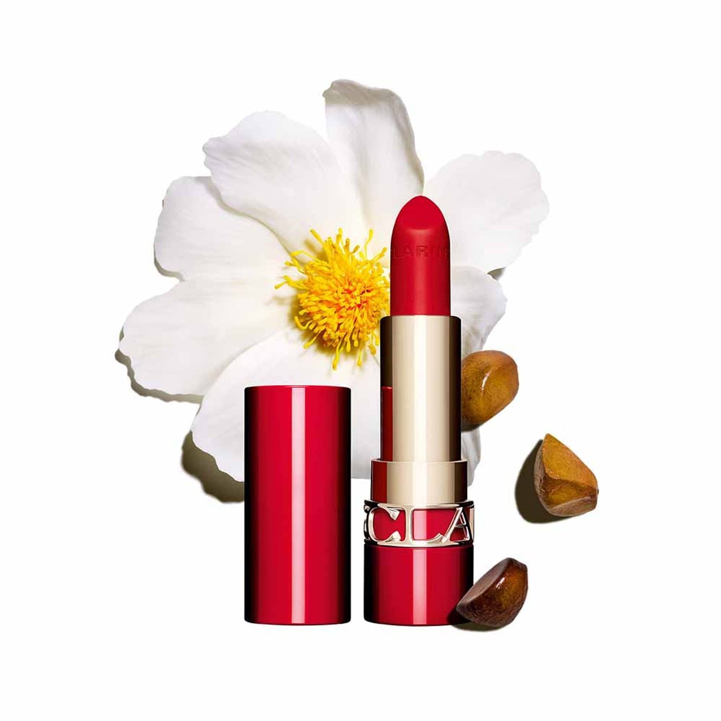 https://cdn.shopify.com/s/files/1/1857/6931/files/6d96dd93666057298936_1.jpg?v=1769845310