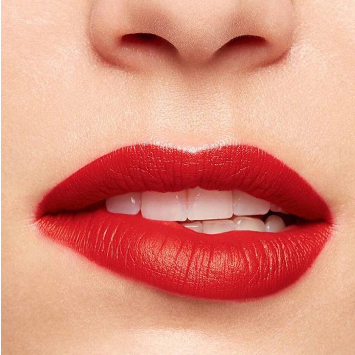 https://cdn.shopify.com/s/files/1/1857/6931/files/6d96dd93666057298936_3.jpg?v=1769845308