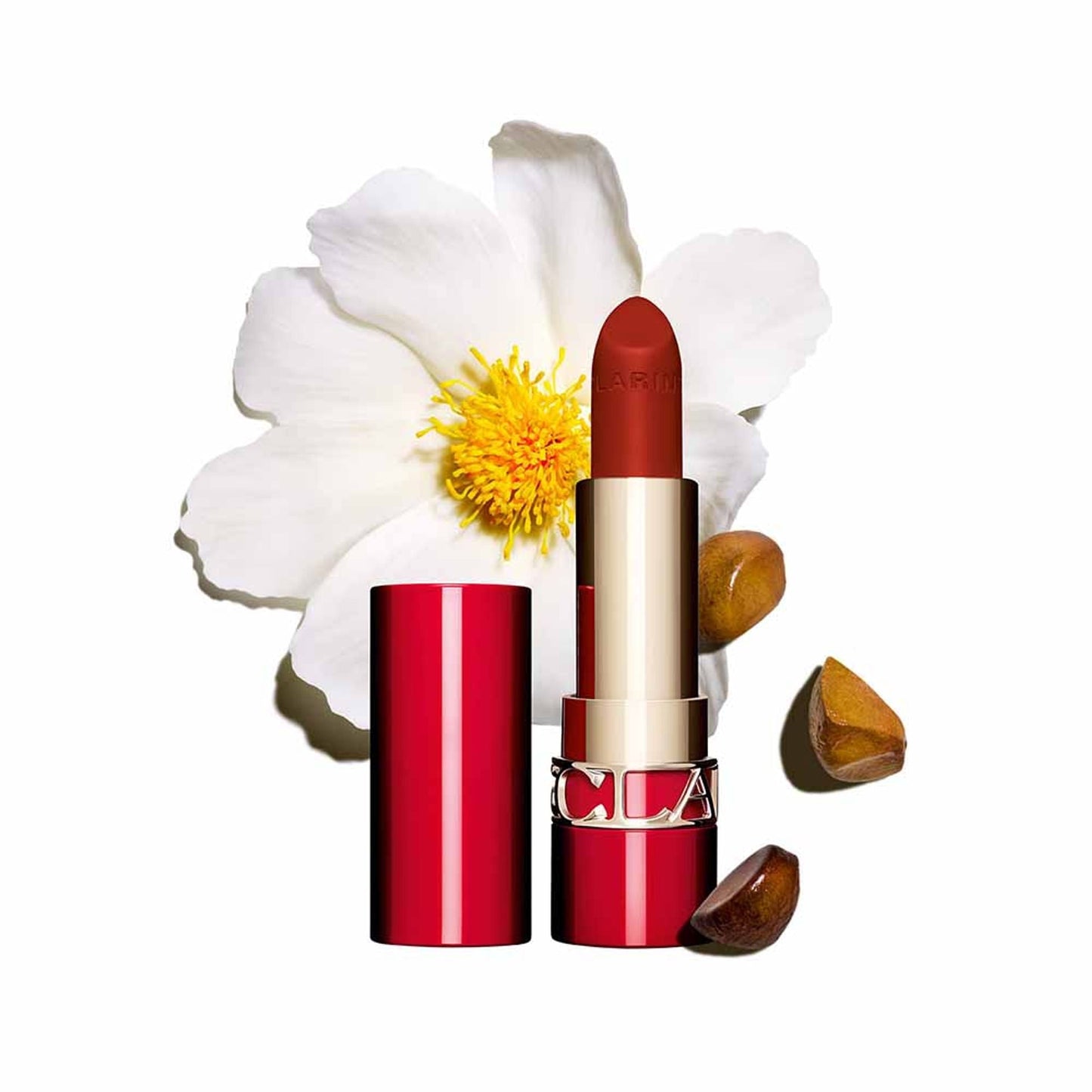 https://cdn.shopify.com/s/files/1/1857/6931/files/6d96dd93666057298943_1.jpg?v=1769845310