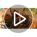 Image 4 of ExclusiveLane Shades of a Leaf Ceramic Pickle Jars with Iron Holder