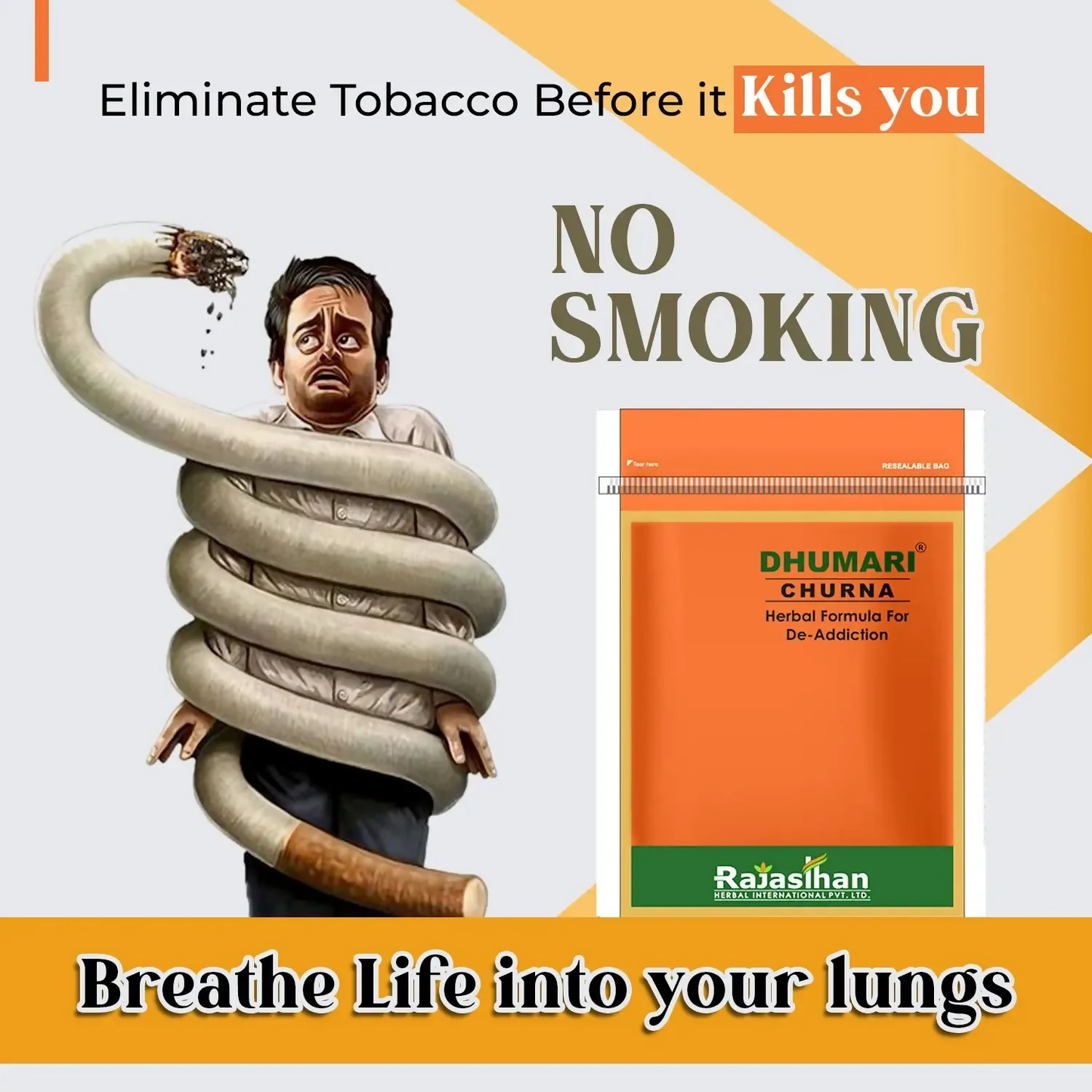 https://cdn.shopify.com/s/files/1/1857/6931/files/6elW0vN08k.png?v=1760507838