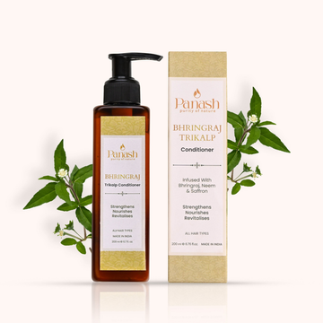 https://cdn.shopify.com/s/files/1/1857/6931/files/6jHhb7F347.png?v=1752920884