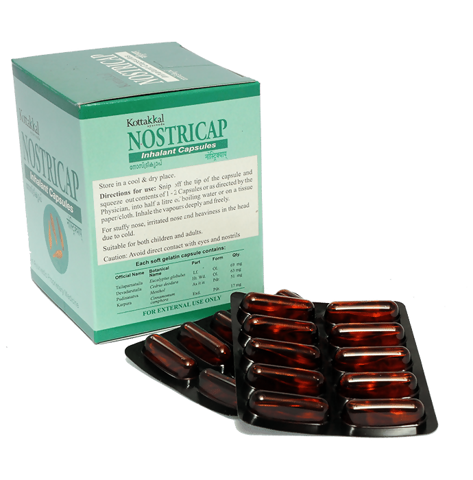 https://cdn.shopify.com/s/files/1/1857/6931/files/6jdd87Brza.png?v=1737349695