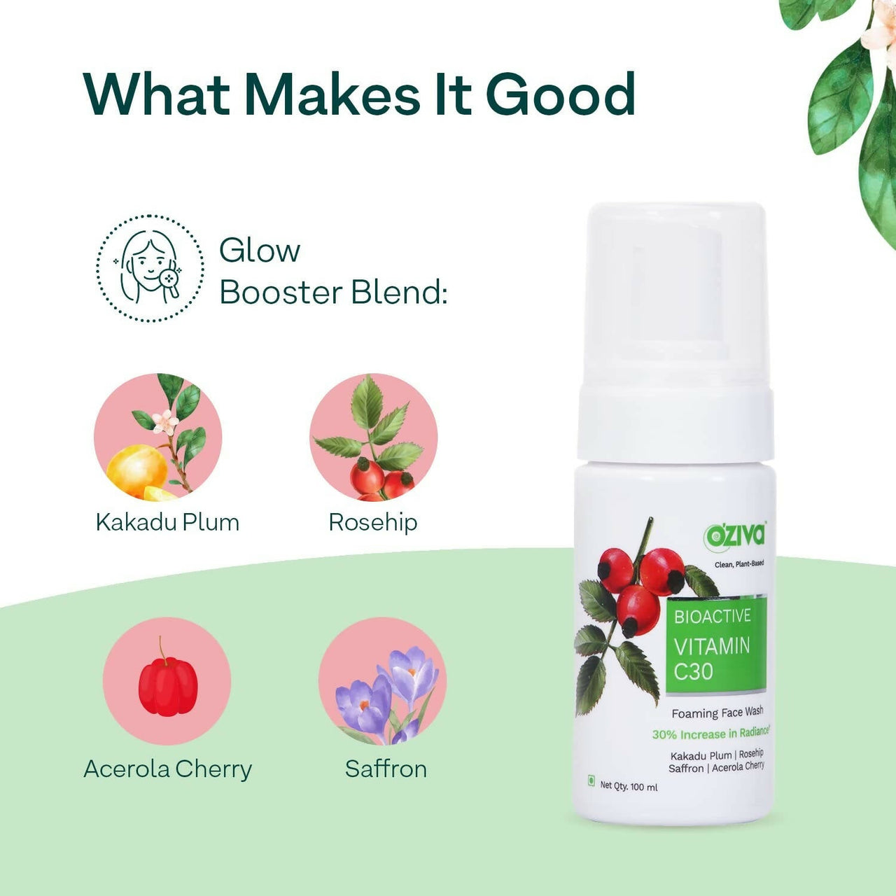 https://cdn.shopify.com/s/files/1/1857/6931/products/6jjmIVUYfo.jpg?v=1695799235
