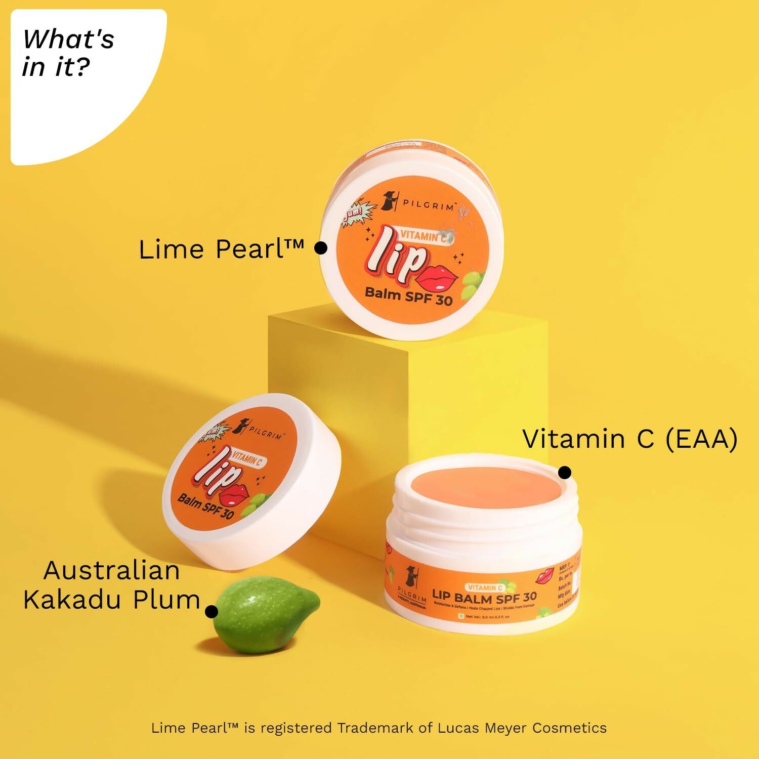 https://cdn.shopify.com/s/files/1/1857/6931/files/6jxPrTmHw8.jpg?v=1716354912