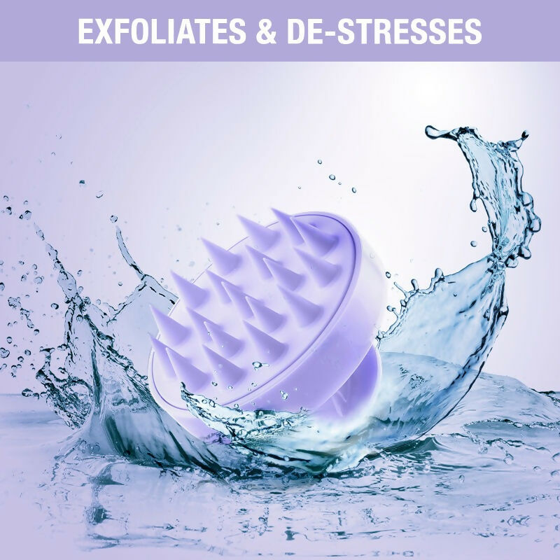 https://cdn.shopify.com/s/files/1/1857/6931/files/6lD0CrkVfi.jpg?v=1713249973