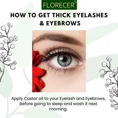https://cdn.shopify.com/s/files/1/1857/6931/files/6qOdptsgBb.png?v=1732786777