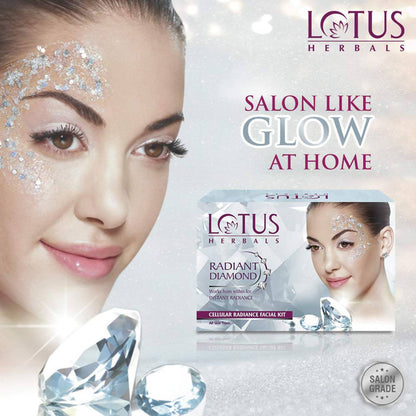 https://cdn.shopify.com/s/files/1/1857/6931/products/6rapaJCJ3u.jpg?v=1623046879