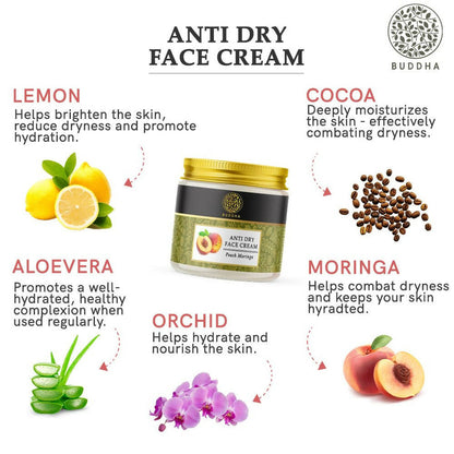https://cdn.shopify.com/s/files/1/1857/6931/products/6vNNiLik5q.jpg?v=1702634607