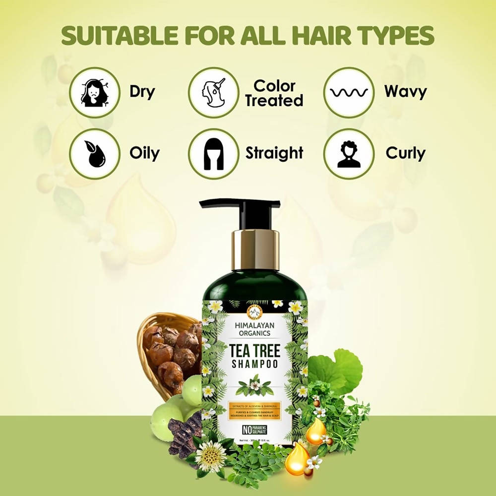 https://cdn.shopify.com/s/files/1/1857/6931/products/6wPYKu0NDg.jpg?v=1626864560