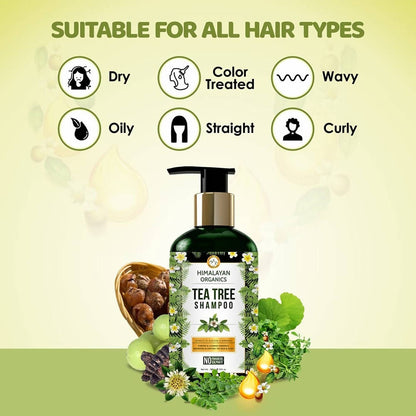 https://cdn.shopify.com/s/files/1/1857/6931/products/6wPYKu0NDg.jpg?v=1626864560