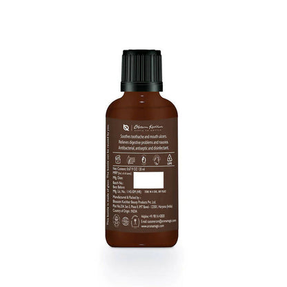 https://cdn.shopify.com/s/files/1/1857/6931/products/6wi2m0OiS4.jpg?v=1677732710