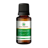 https://cdn.shopify.com/s/files/1/1857/6931/products/6x1VAsdRyi.jpg?v=1762343908