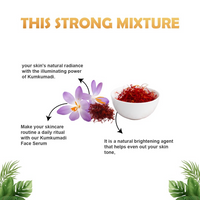 https://cdn.shopify.com/s/files/1/1857/6931/files/6zDbNuZdBY.png?v=1727091188