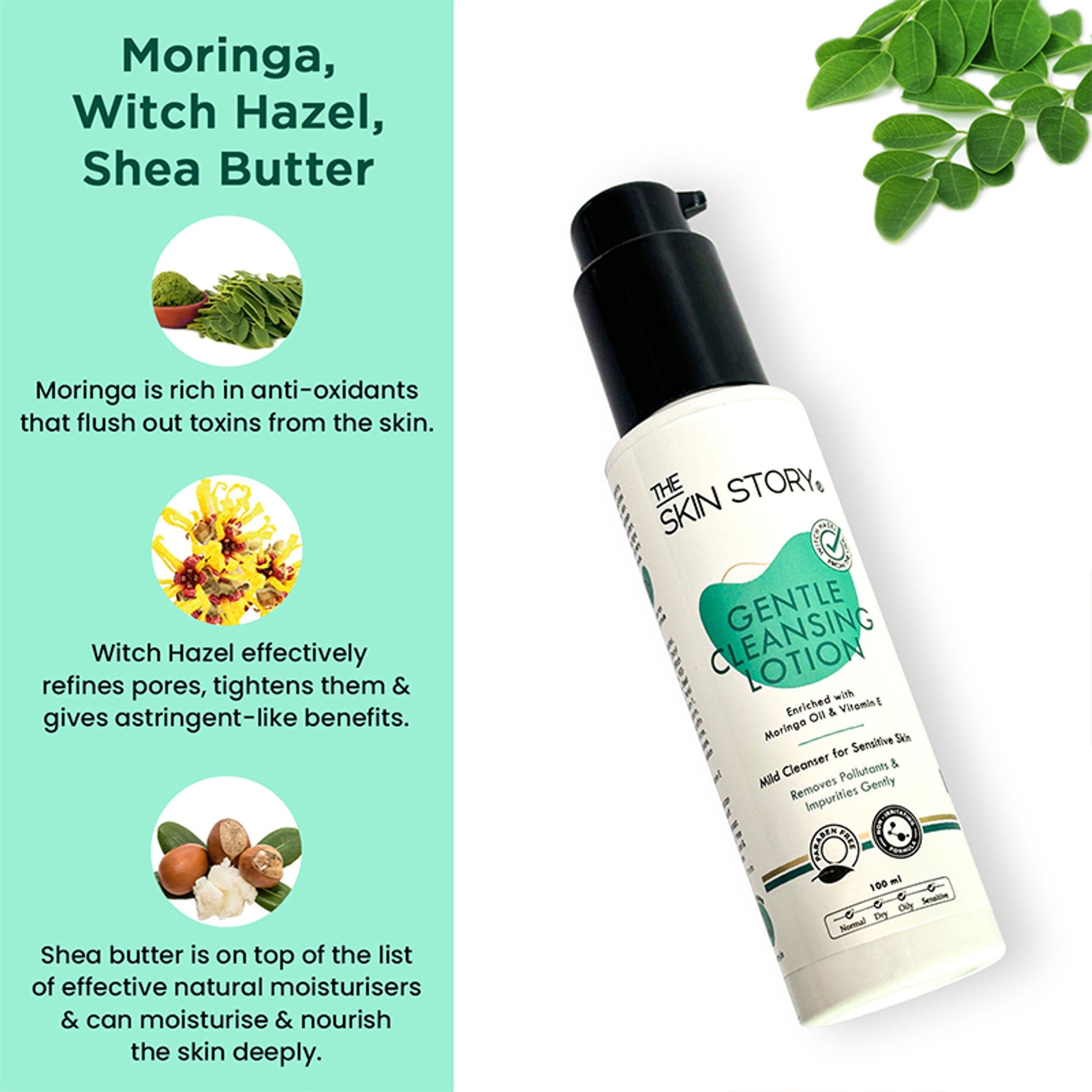 https://cdn.shopify.com/s/files/1/1857/6931/files/70713c9THEAH00000020_6.jpg?v=1776859059