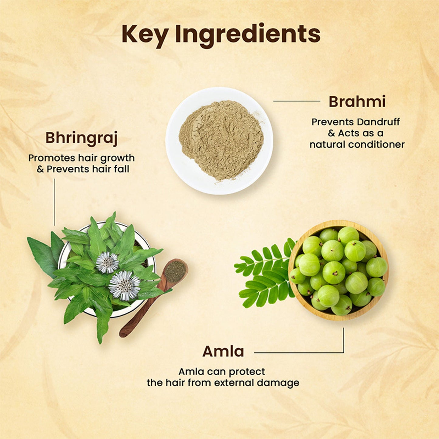 https://cdn.shopify.com/s/files/1/1857/6931/files/70713c9THEAH00000060_2.jpg?v=1776859098