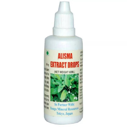 https://cdn.shopify.com/s/files/1/1857/6931/files/71056-1.webp?v=1771493977