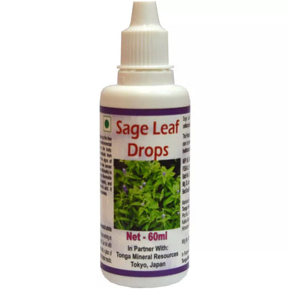 https://cdn.shopify.com/s/files/1/1857/6931/files/71232-1.webp?v=1771494054