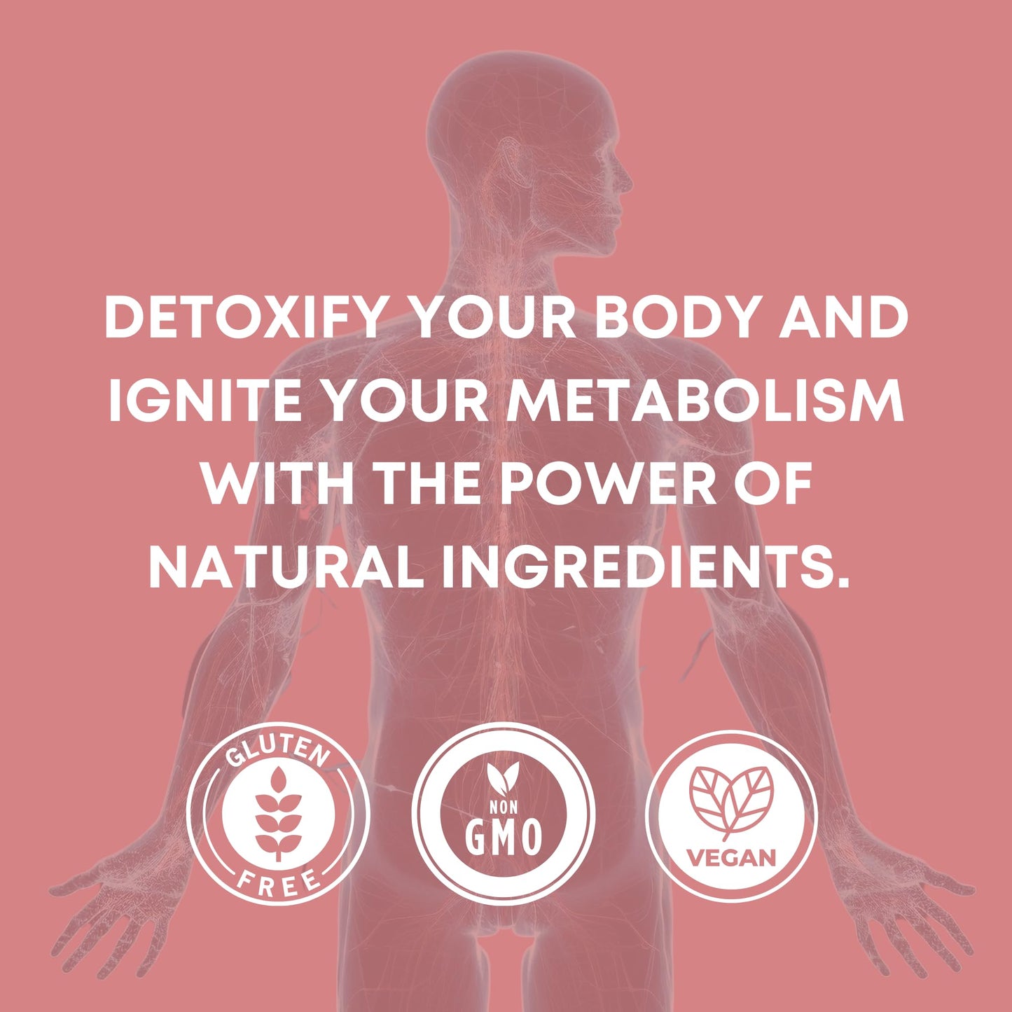 https://cdn.shopify.com/s/files/1/1857/6931/files/713PvEH-RgL.jpg?v=1770707070