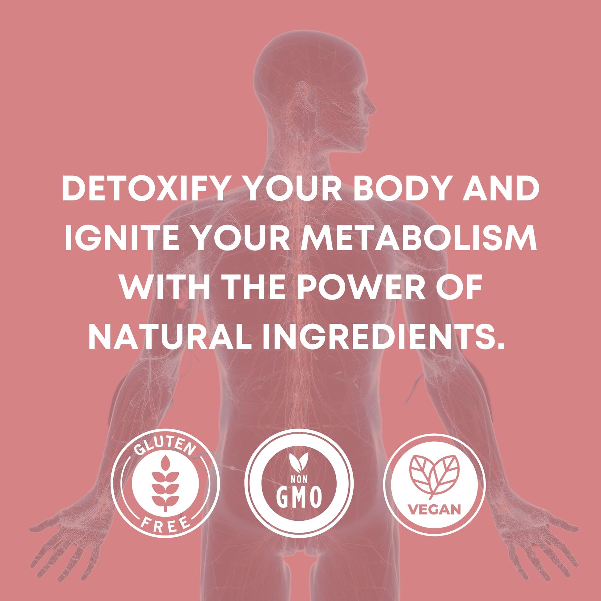 https://cdn.shopify.com/s/files/1/1857/6931/files/713PvEH-RgL.jpg?v=1770707070